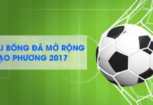 Giải bóng đá mở rộng Hạo Phương 2017