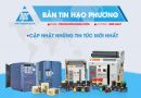 Bản tin Hạo Phương tháng 3/2019