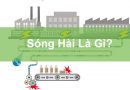 Ảnh bìa sóng hài là gì