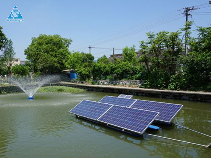 Giải pháp IoT và điện năng lượng mặt trời trong ngành nuôi trồng thủy sản
