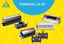 Terminal là gì?