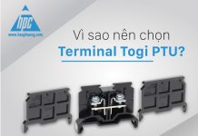 Vì sao bạn nên chọn Terminal Togi PTU?