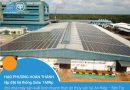 Hạo Phương hoàn thành lắp đặt solar cho C.P Việt Nam tại Bến Tre