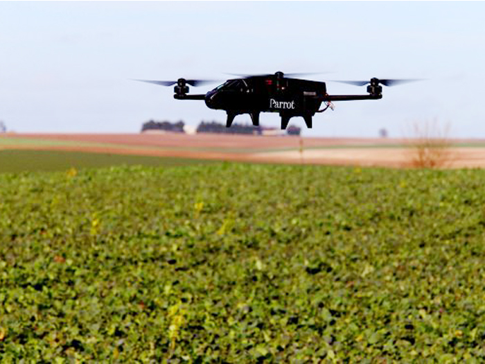 Thị trường sản phẩm AI trong nông nghiệp sẽ tăng trưởng mạnh