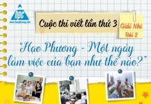 Bài viết đạt giải nhì cuộc thi viết lần 3 “Hạo Phương – Một ngày làm việc của bạn như thế nào?” (Bài 2)